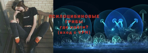 дживик Балахна