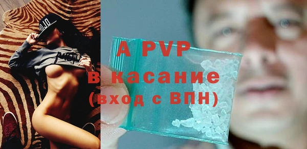 гашик Богданович