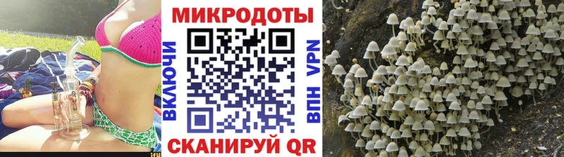 Галлюциногенные грибы мухоморы  Узловая 